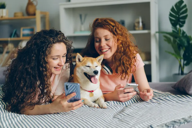 Six People, Zero Filters: How the Group Chat Became America's Last Honest Room